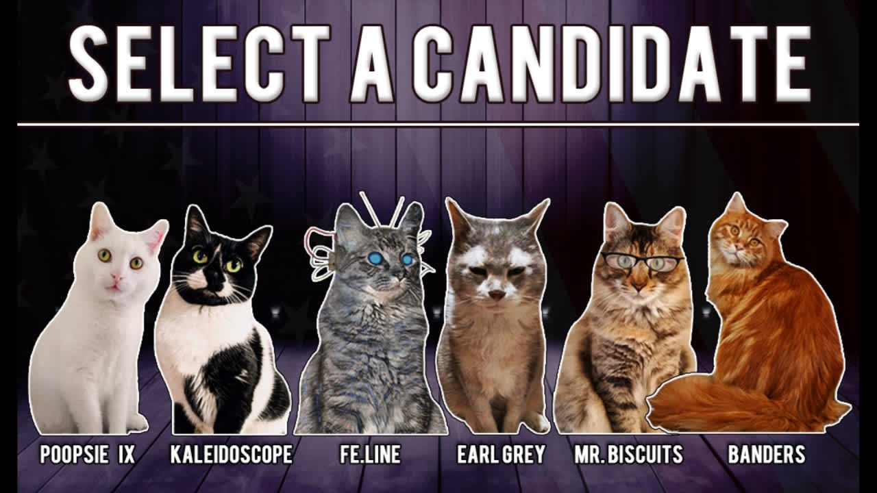 Cat President 2: Purrlitical Revolution for Nintendo Switch - Nintendo ...