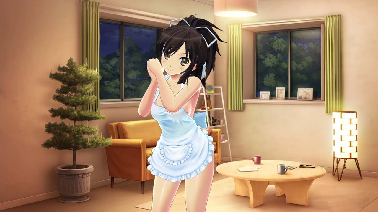 SENRAN KAGURA Reflexions: Newlyweds Outfit Set — скриншот 1