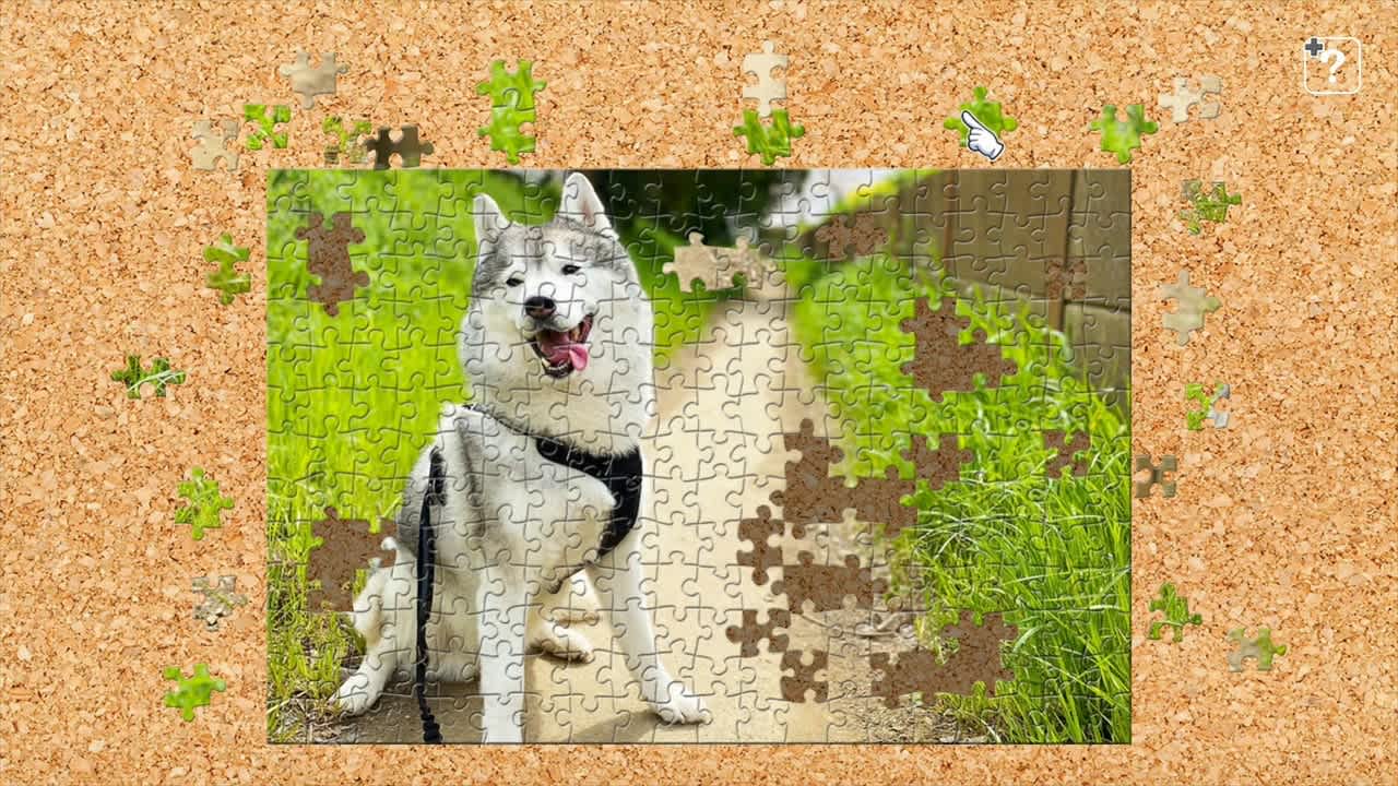 Jigsaw Masterpieces: Pupipupi Bunta -Siberian Husky with a Peaceful Face- — скриншот 1