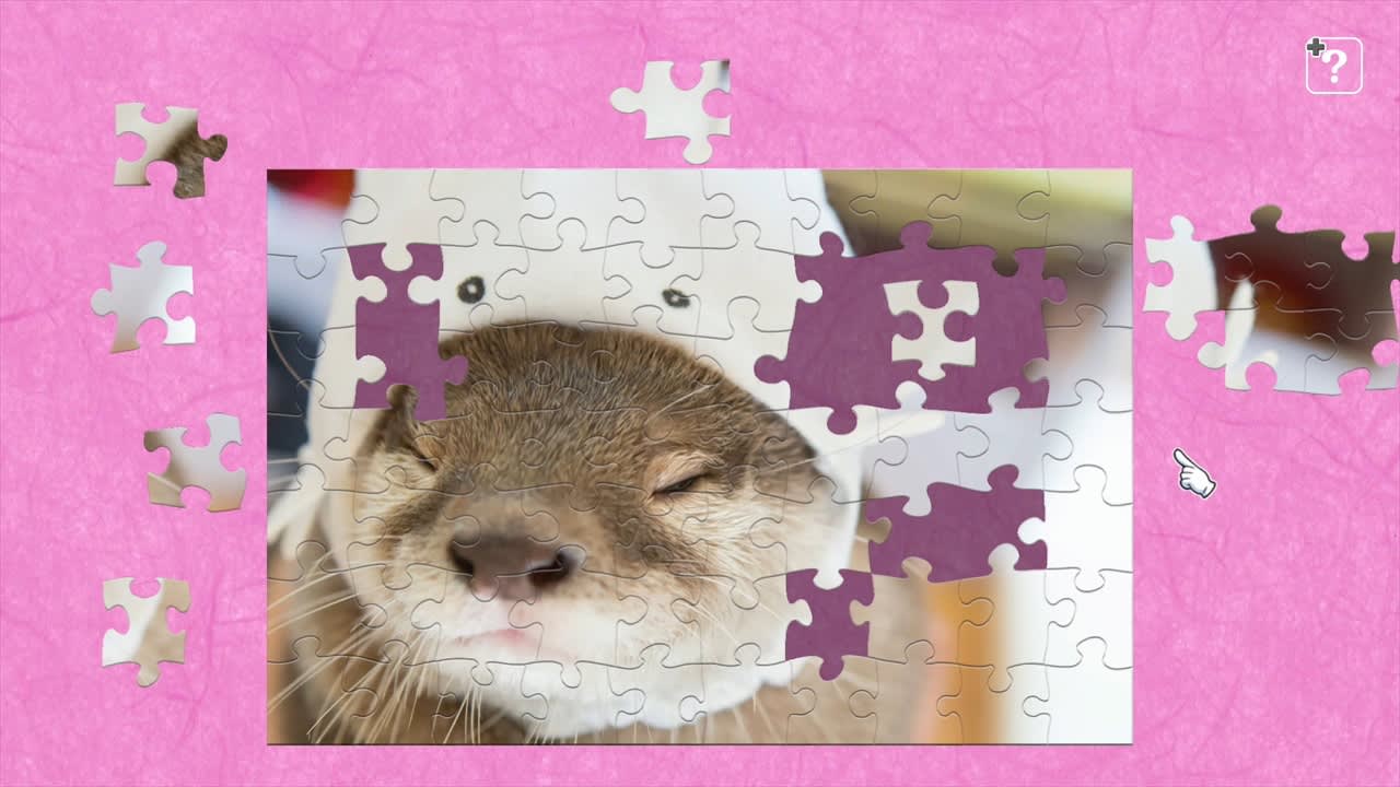 Little otter Takechiyo＆Aoi for Nintendo Switch - Nintendo