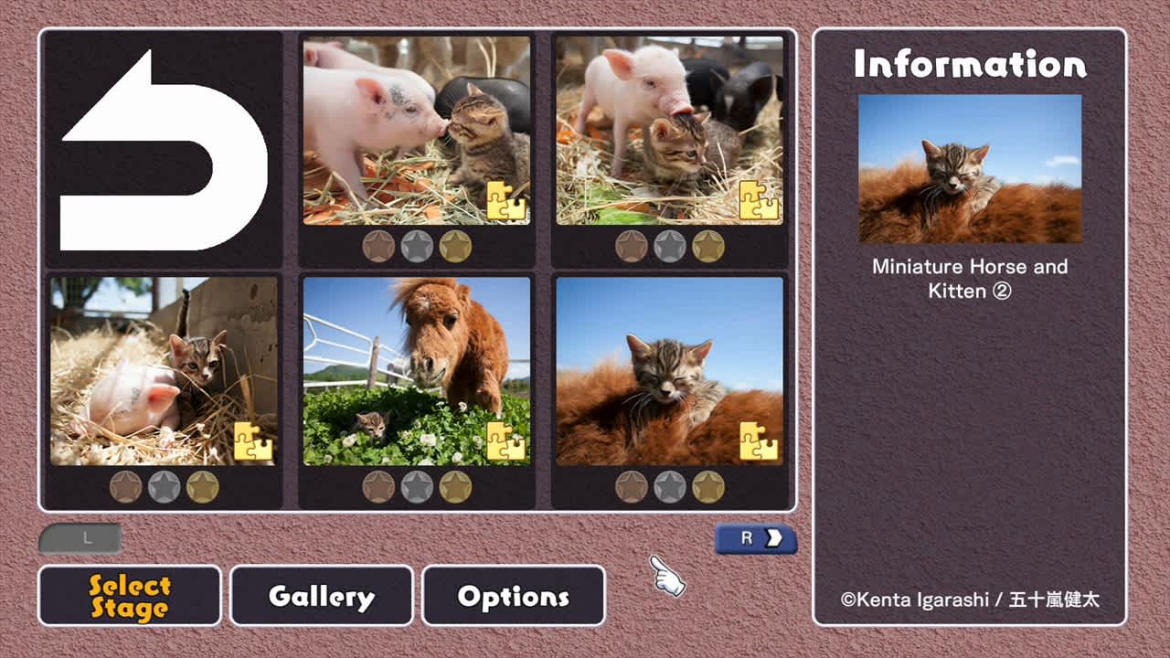 Jigsaw Masterpieces: Cats and Friends on the Suetoshi Farm / Kenta Igarashi — скриншот 1