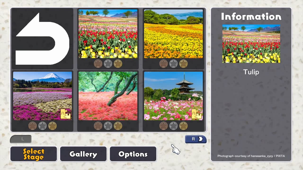 Jigsaw Masterpieces: Flower Garden — скриншот 1