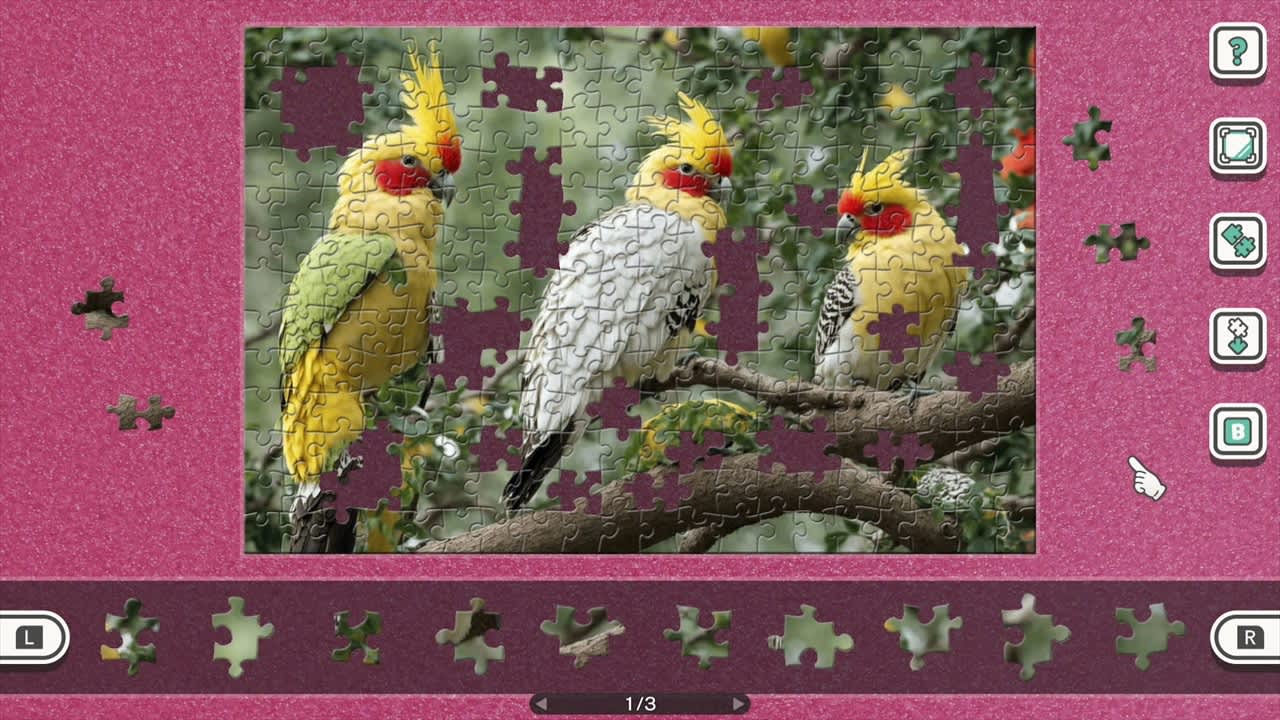 Jigsaw Masterpieces 2: Birds in Vibrant Colors — скриншот 1