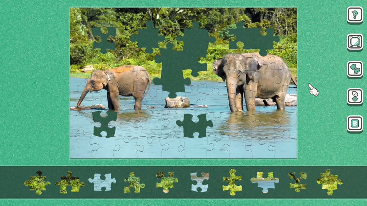 Moving] Wild Animals for Nintendo Switch - Nintendo Official Site