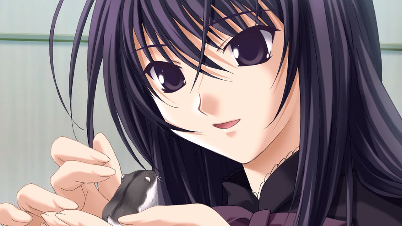 Ever 17/Never 7 Double Pack for Nintendo Switch - Nintendo