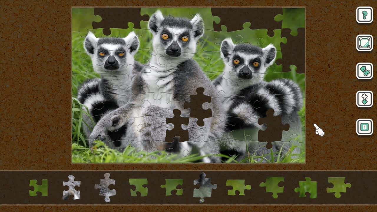 Additional Puzzle Pack Set Vol.20 for Nintendo Switch - Nintendo ...