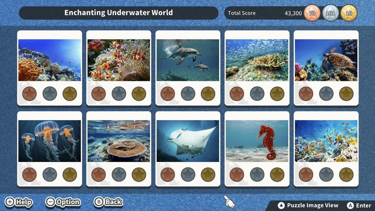 Additional Puzzle Pack Set Vol.23 for Nintendo Switch - Nintendo