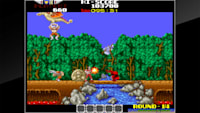 Arcade Archives RYGAR for Nintendo Switch Nintendo Official Site