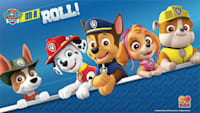 Nintendo switch paw patrol on a roll clearance