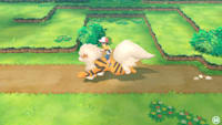 Pok mon Let s Go Pikachu for Nintendo Switch Nintendo