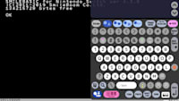 Smilebasic shop