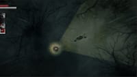 Darkwood switch hotsell