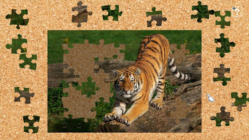 Big cat puzzle deals