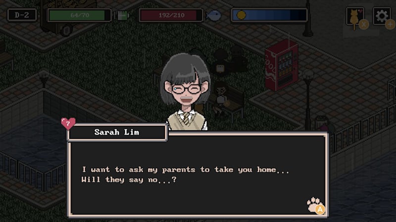 A street cat's tale switch discount