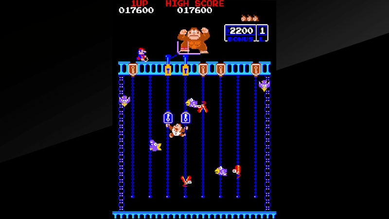 Donkey kong jr nintendo switch best sale
