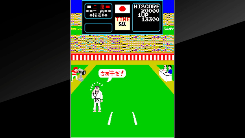 Nintendo karate store game