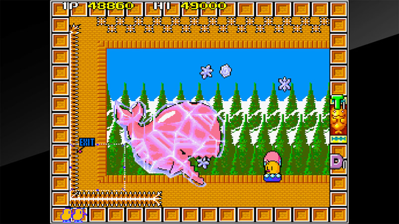 The new zealand discount story nes