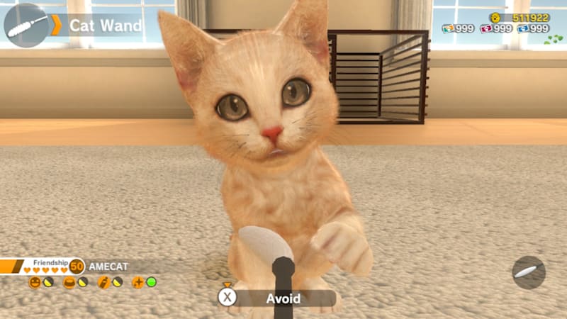 Little Friends: Dogs & Cats - Nintendo Switch : Video  