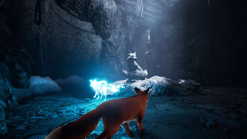 Spirit of the north store switch release date