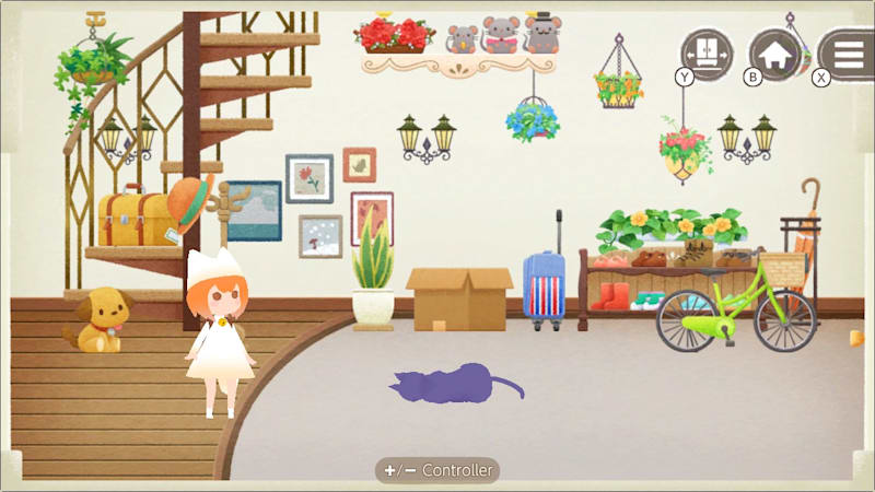Stray cat at door 2025