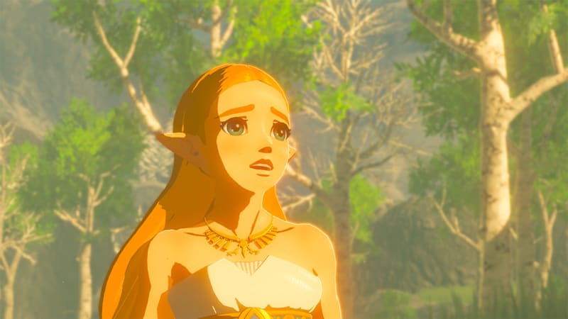 The Legend Of Zelda Breath Of The Wild - The Legend of Zelda