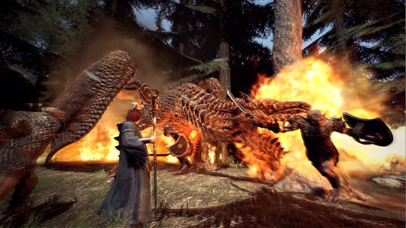 Dragon's dogma switch eshop best sale