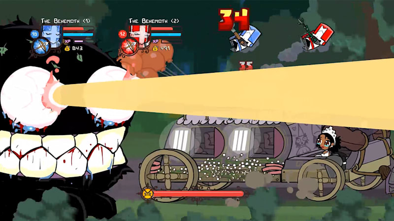 Castle Crashers Remastered Brings 2D Beat 'Em Up Action To The Nintendo  Switch