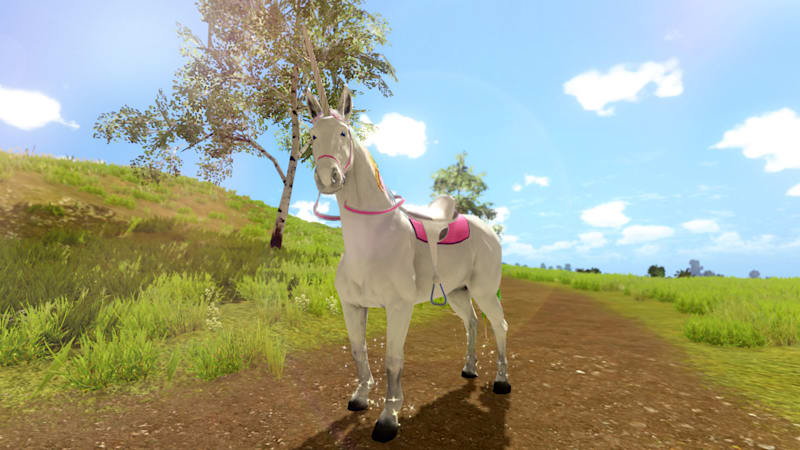 Nintendo switch the unicorn on sale princess