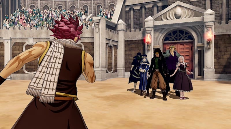 Fairy tail switch top