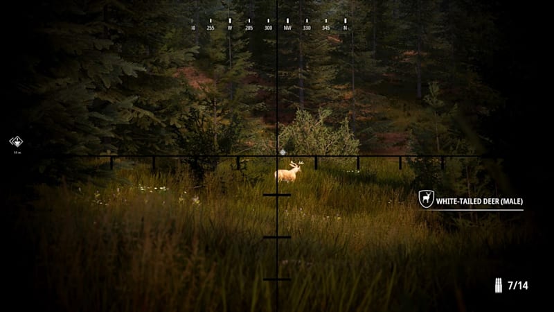 The hunter hot sale nintendo switch