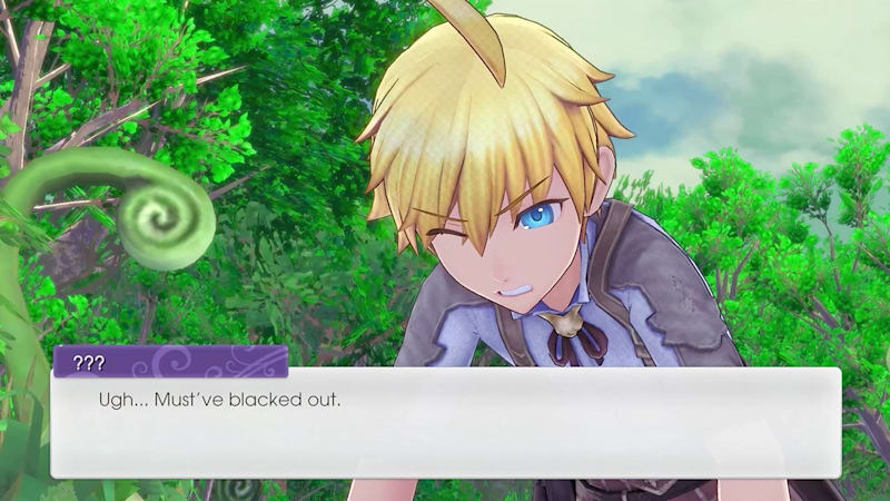 Nintendo switch games rune factory online