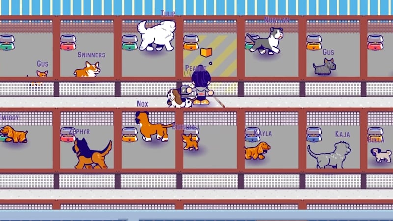 Dog Shelter Sim To The Rescue! Comes To Switch Next Week