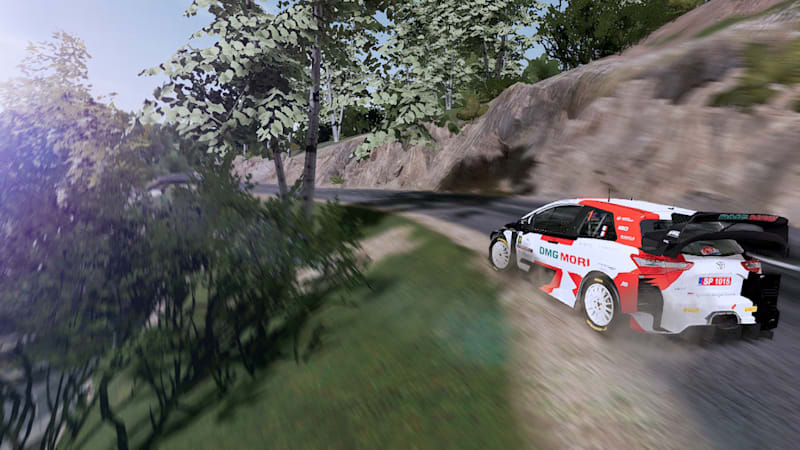 WRC 9 sur Nintendo Switch 