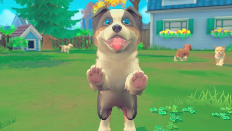 Pet Care for Nintendo Switch - Nintendo Official Site