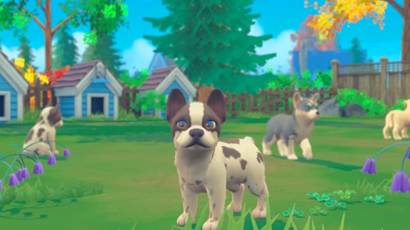 USED - SWITCH - My Universe - Pet Clinic: Cats & Dogs - Nintendo