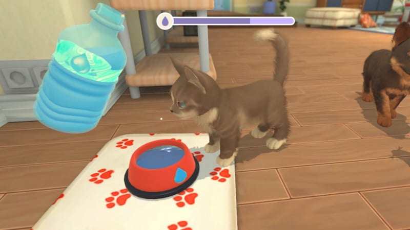 Cats and store dogs nintendo switch