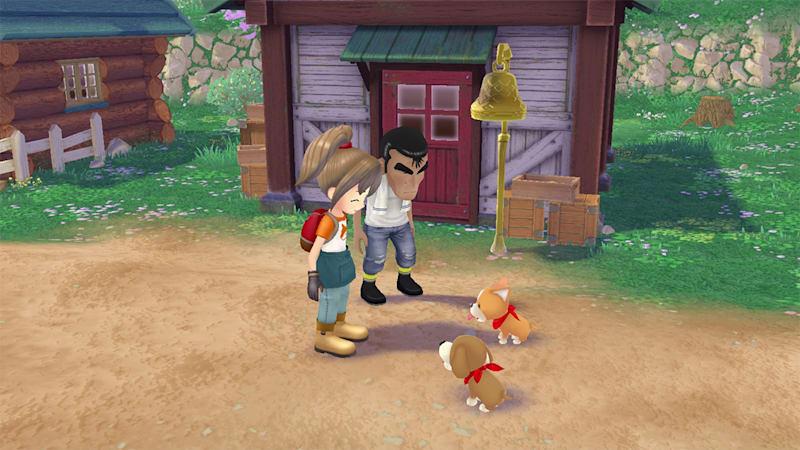 Harvest moon a wonderful life nintendo switch store