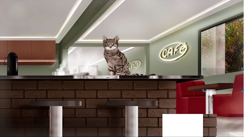Puzzle cute cat swap puzzle 2025
