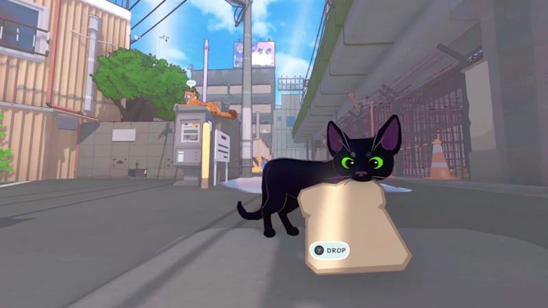 The city kitty top