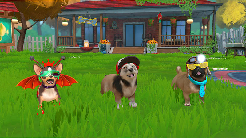Pet-raising game“Little Friends: Puppy Island” Introduction of 9