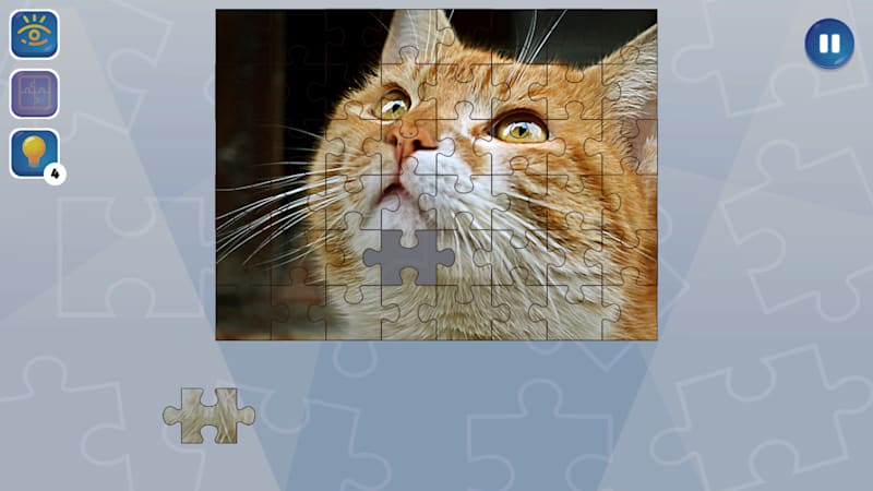 Cat Jigsaw Puzzle Online 