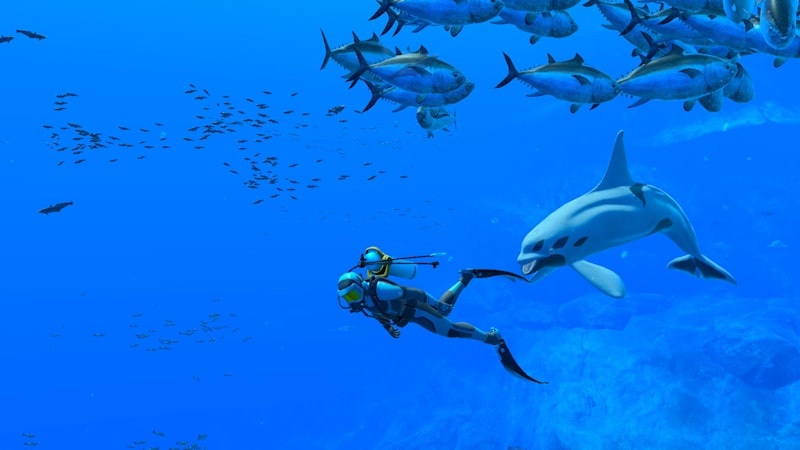 Endless ocean cheap 3 switch