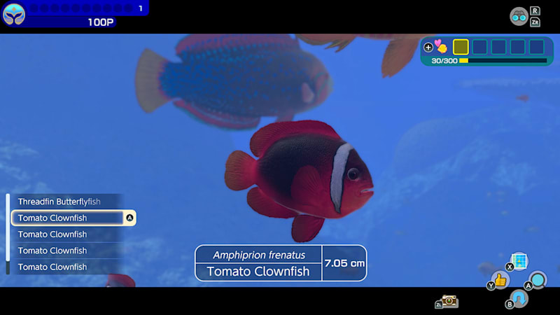 Nintendo switch endless ocean deals