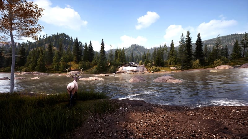 Hunting simulator 2 nintendo switch release date sale