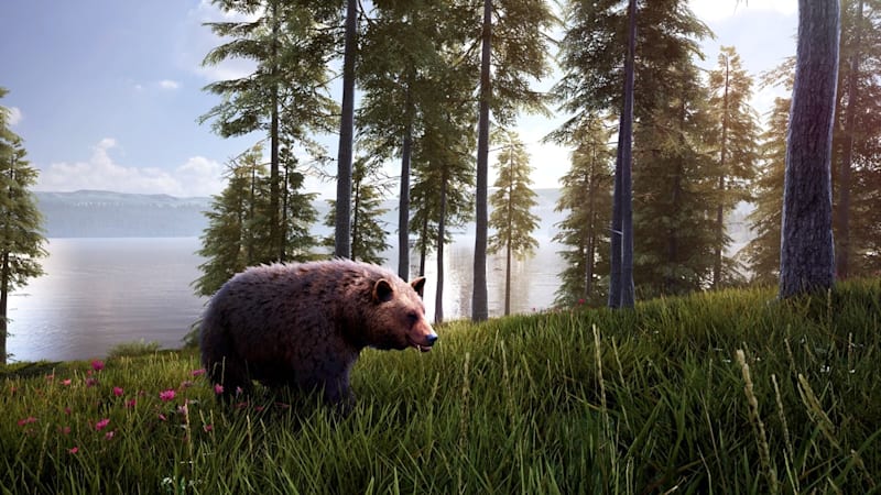Hunting simulator 2 switch release date hotsell