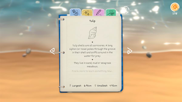 Seashell Pour Nintendo Switch Nintendo