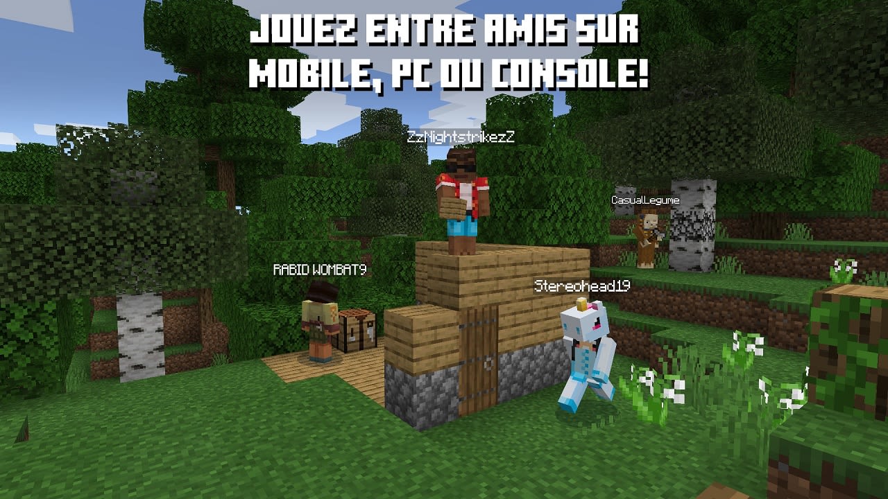 Minecraft pour Nintendo Switch - Site officiel Nintendo