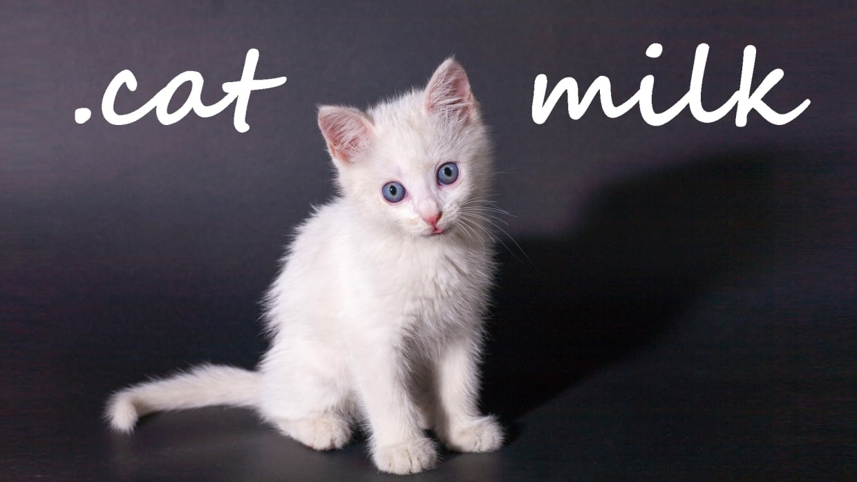 .cat Milk 1