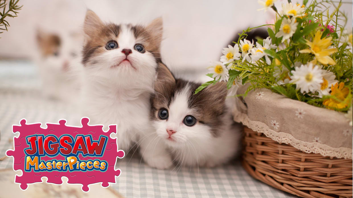 Little Kittens / Kenta Igarashi 1