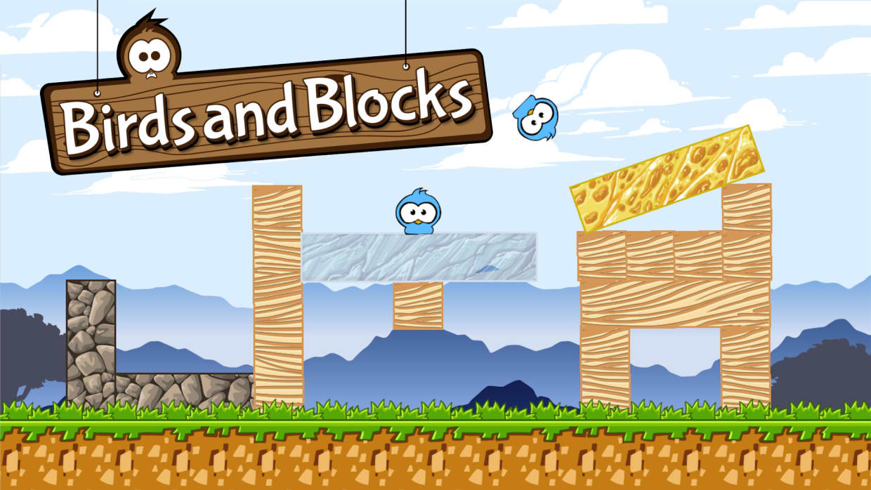Birds and Blocks 1